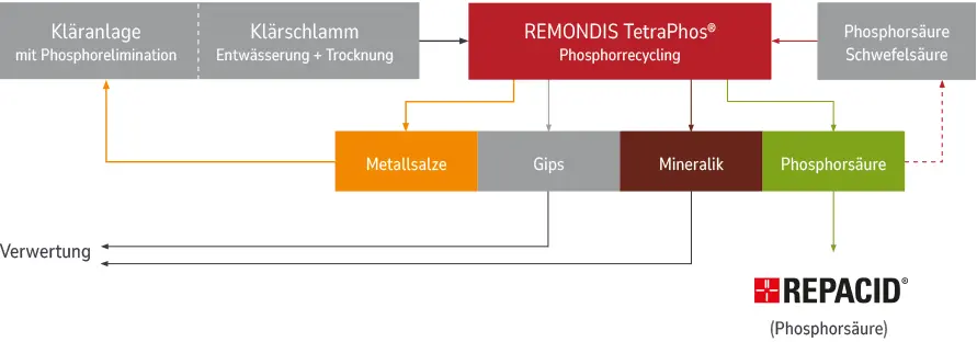 Ablaufgrafik Phosphorrecycling