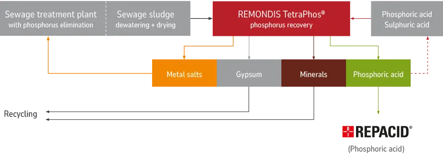 Graphic – the phosphorus recovery process