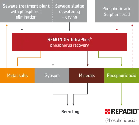 Graphic – the phosphorus recovery process