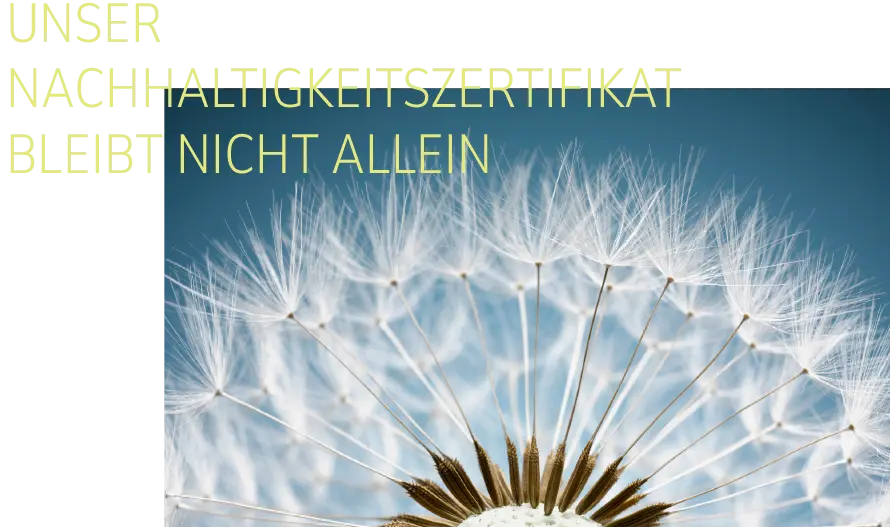 Pusteblume als Symbol für Nachhaltigkeit