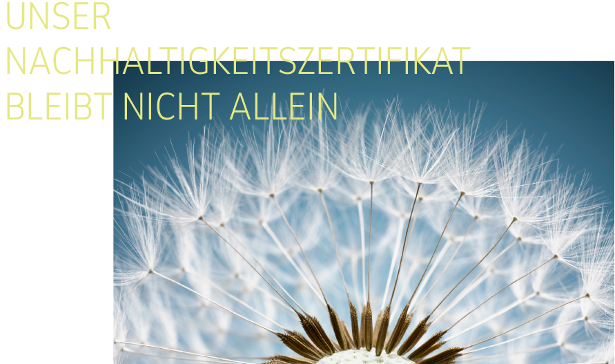 Pusteblume als Symbol für Nachhaltigkeit