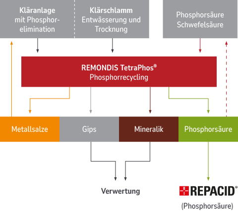 Ablaufgrafik Phosphorrecycling